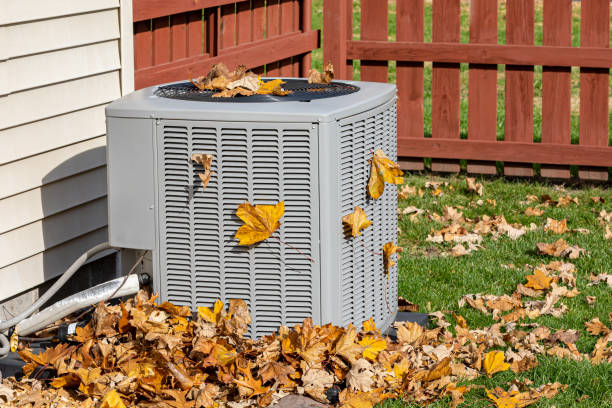 Best Local HVAC Companies  in Ramsey, MN